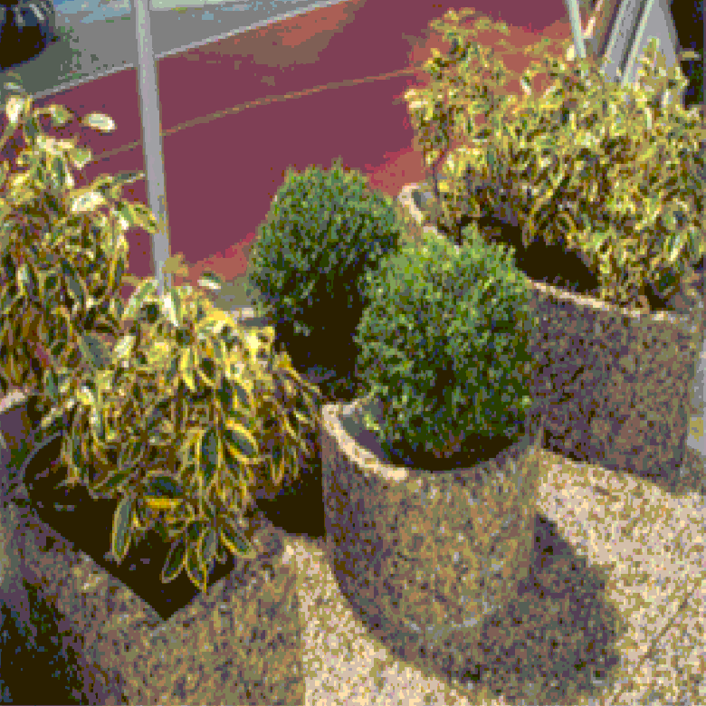 washbeton-çiçeklik